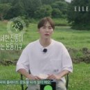부승개발