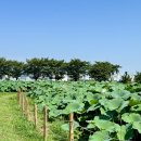 농업기술센터1층 화장실 이미지