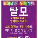 큐사랑울산