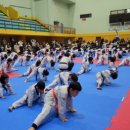 삼송백호태권도장 이미지