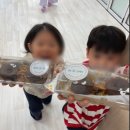 검단119안전센터 | [공지] 검단유아영어? 아이크미 검단센터 내돈내산 후기 모음