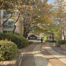 한울플러스 | 파주누수도배 운정 한울마을2단지 누수로인한 도배 후기