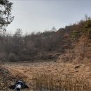 한반도면-2 이미지