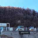 (주)서울파마 | [서울근교] 애견동반펜션, 양평 편안하개펜션 다녀온 리얼 후기