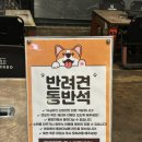 경기도식당 | 경기도 양평 애견동반식당 두물머리 추천 맛집 대디스바베큐 찐 후기