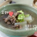 플레시피 이미지