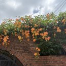 효사랑 약국 이미지