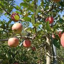 운남로2 이미지