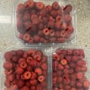 새터 농장 이미지