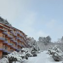 주식회사현대수리조트 | 용평리조트 근처 가성비 숙소 평창 대관령 현대 엘리엇 호텔&amp;리조트