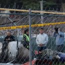 헬기하우스 이미지