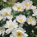 섬진강댐물문화관 화장실 이미지