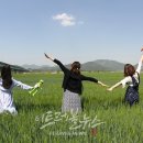 강나루생태공원 이미지