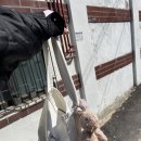 개예쁨주의 이미지