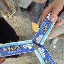 상암고등학교 버스정류장(14-291) | [울릉도여행 1] 저동항 주변 어슬렁거리기