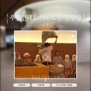 아쿠아녹주불가마사우나 | 고양 스타필드 아쿠아필드 찜질방 후기｜여름엔 이열치열! 아우프구스까지 제대로 즐기고 왔어요
