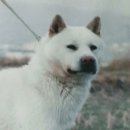 제이.케이 이미지