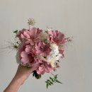 w-28 | W 28. 에밀리 스튜디오 웨딩촬영 후기 (1)_ 1층 실내 : 화이트 호리존