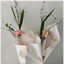 울산 삼산 꽃집 화색에서 찾은 작은 평온함과 따뜻한 마음~
