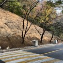 도구머리공원 이미지