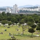 뚝섬한강공원-21 이미지