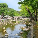 달음산자연휴양림 이미지