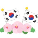 달의나라 이미지
