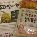 주식회사 생명나무