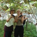 소녀농장 이미지