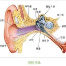 헬스닥터 티스토리