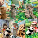 (0.1)세 스페셜데이 정글탐험 &amp;아이러브팻 이미지