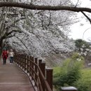 보성장식 이미지