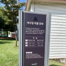 백석생활체육공원 축구장 이미지