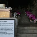 제주 서귀포 산방산 Daum카페
