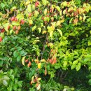 반송동188 이미지