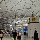 [일본 나고야] 출장 1일차 / 나고야 입국 / 뮤 스카이 탑승 / 미소돈까스 / 오스상점가 / 데바사끼...