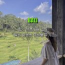 발리 | 발리 신혼여행 일정 발리 항공권 준비물 후기
