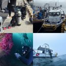 다이브 자이언트 제주 | 제주도 스쿠버다이빙 야야다이브 오픈워터 - 2 -