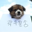 미도리작업실