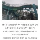정다운펜션 | [여행후기]231216-7 제천/예산여행