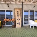 내마음의숲