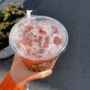 11월 1-2주차 주간일기 ) 내 인생 가장 활동적으로 움직인 주..