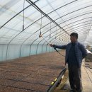 홍천농장 이미지