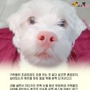 미소주유소 이미지