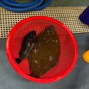 영흥상회 네이버블로그
