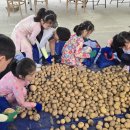 바다의별유치원 이미지