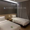 마이유어펫살롱 | 강릉세인트존스 호텔 수영장, 조식, 객실 비교, 애견동반, 마이리얼트립 초특가 할인 꿀팁!