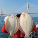 포도나무 | 도다리 쑥국, 봄의 바통터치... 창원 귀산에서 만난 45년 전통 '포도나무집' 후기