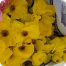 곤지암초등학교 병설유치원 이미지