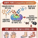 B6 | 비타민 B6 복용 후기와 피해야 할 비활성형 부작용